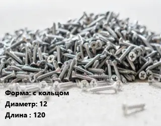Шуруп с кольцом 12х120